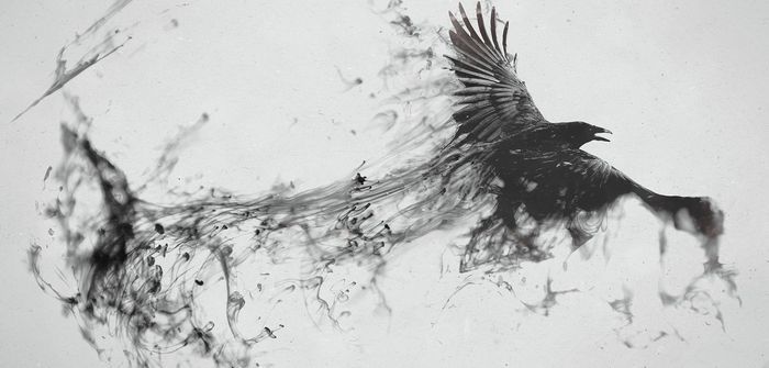 Bannière de ce canal