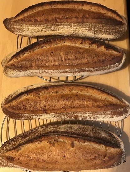 top view of 4 baguettes - 031020