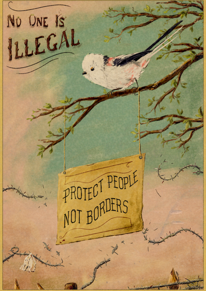 Vintage poster featuring a long-tailed tit on a branch with a small sign reading "Protect people not borders".

The little black and white bird is next to a text that reads "No one is illegal".