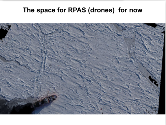 High density photogrammetric point cloud (not a photo!) of a ship in sea ice.

Title reads:
The space for RPAS (drones) for now.