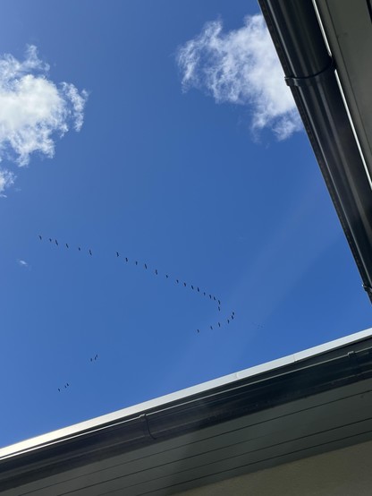 A clear blue sky with a formation of birds flying in a curved line, partially obscured by the edge of a roof. A few fluffy clouds are visible.