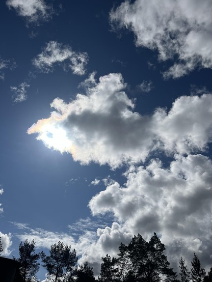 A bright sun partially obscured by fluffy white clouds against a blue sky, with silhouettes of trees in the foreground.
