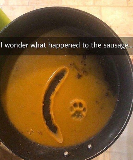 The image shows a black frying pan containing a brownish liquid, likely a sauce. The sauce has an unusual pattern: a curved line resembling a smile with a small paw print at the end. Overlaid on the image is a caption that reads, "I wonder what happened to the sausage...". The scene suggests a playful or humorous situation involving a cat and the sauce in the pan.