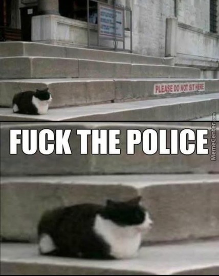 The image features two cats sitting on steps. The first cat is positioned higher up the steps, while the second cat is closer to the bottom. Both cats are black and white. Overlaid on the image is the text "FUCK THE POLICE" in bold, white letters. In the background, there is a sign on the steps that reads "PLEASE DO NOT SIT HERE." The overall tone of the image is humorous and provocative, combining the innocence of cats with a rebellious message.