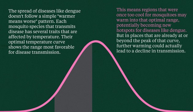 Mosquitoes, for example, rely heavily on ambient temperature. They’re ectotherms, meaning they depend on room temperature to function. Every vector species has multiple traits that are influenced by temperature. If you map all those temperature-dependent traits, you can build a curve that shows the optimal temperature range for that vector.

Depending on where you fall on that curve, if you’re already past the peak and temperatures keep rising, there’s actually the potential for a decrease in transmission risk.

But these systems are highly nuanced. It’s not just about temperature—it’s also about human behavior and how we alter natural habitats. And vectors can evolve, too. So it’s almost like we’re in a race with other organisms to adapt more quickly.