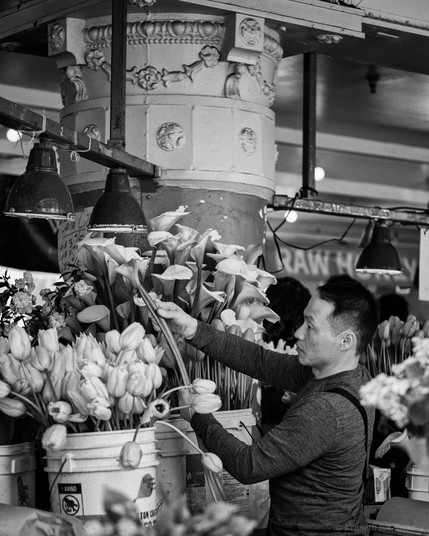 Black and white photo of a man tending to flowers.