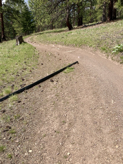 Amidst lightly forested terrain, a plastic barrier for channeling runoff appears absurdly out of place to the left of the trail.