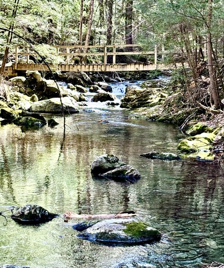 Photo looking upstream of a stream with a footbridge crossing it.  The bridge seems relatively new, as the wood is not yet stained from the weather.  The stream is in a beautiful green forested area and has many large boulders.  The foreground of the stream is somewhat reflective and there is a small cascading waterfall seen beyond the bridge.

Alander Mt. Trail.  Mt. Washington State Forest, Massachusetts.