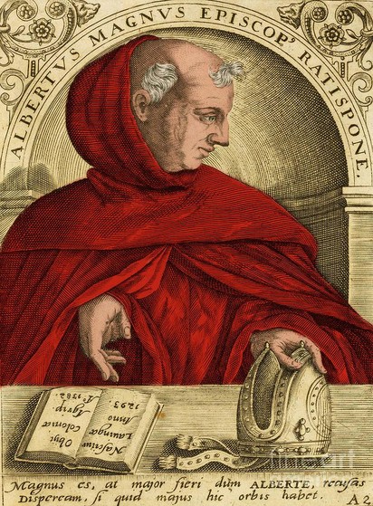 Portrait of Albertus Magnus from a 16th-century engraving.