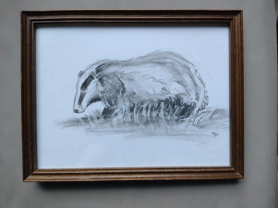 Charcoal drawing of a badger in a darm wooden frame.