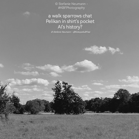 A black-and-white landscape take of three trees on a patsure framed by hedgerows under a bright sky with little clouds. In white letters, a haiku:

a walk sparrows chat
Pelikan in shirt's pocket
AI's history?

© Stefanie Neumann - @KokopelliBFree