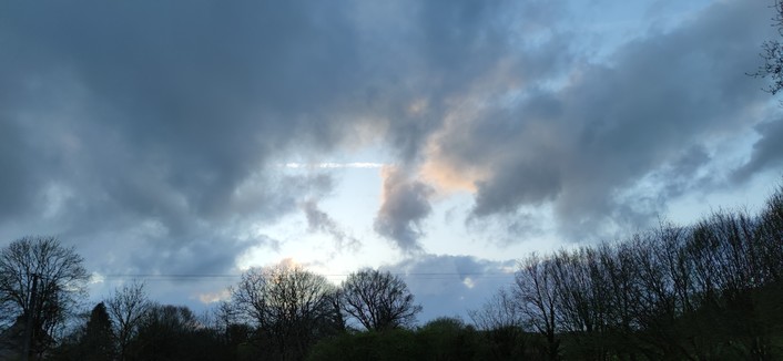 Le crépuscule au-dessus d'une haie d'arbres, des nuages gris bleutés avec une pointe d'orange au centre, passent devant le ciel bleu clair virant au blanc près de l'horizon.