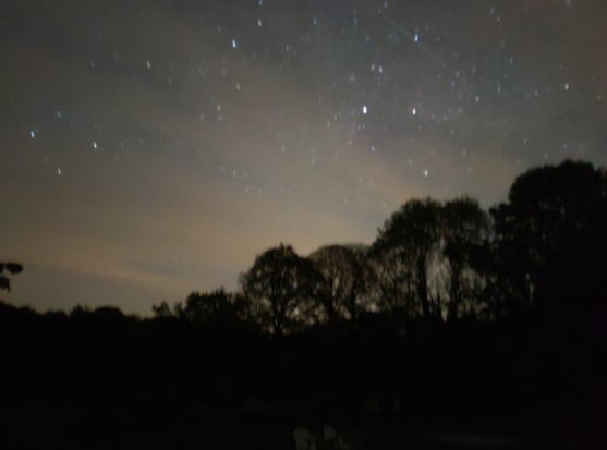 Ciel étoilé au-dessus d'un talus d'arbres. On reconnaît à droite la constellation du cygne, Cassiopée à droite et Persée en haut au centre.