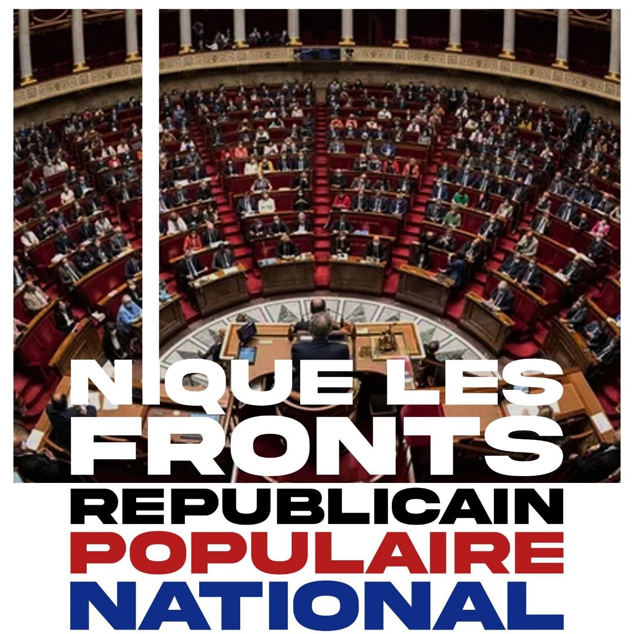 photo de l'hémicycle de l'Assemblée nationale prise de face légende : Nique les fronts Républicain Populaire National