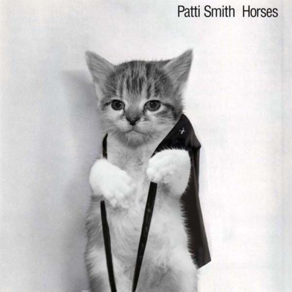 Kitten Cover