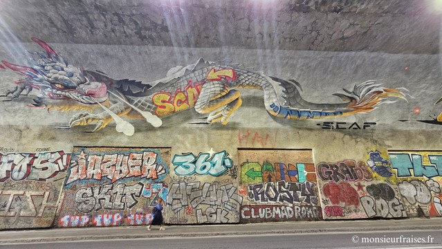 fresque monumentale représentant un dragon 
