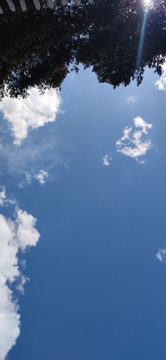 Image du ciel au zénith. Ciel désespérément bleu avec quelques cumulus. 