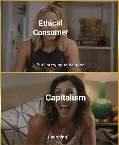 meme "the good place" 

pers 1 = "Ethical Consumer"  : But i'm trying to be good 

perso 2 = "Capitalism" : [laughing hysterically] 