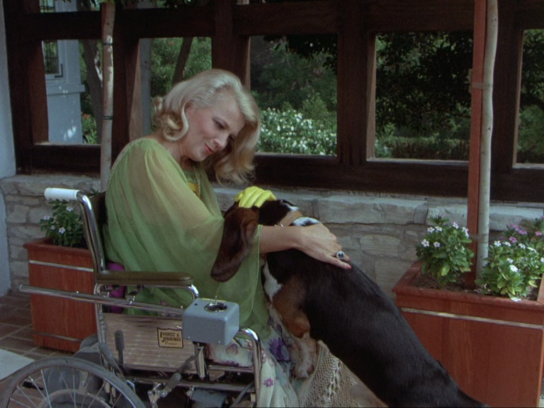Gena Rowlands, magnifique, en tunique vaporeuse verte, en fauteuil munie de gants de jardinage caresse d'un air attendri le chien de Columbo qui a l'air de vivre sa meilleure vie Gena Rowlands, magnifique, en tunique vaporeuse verte, en fauteuil munie de gants de jardinage caresse d'un air attendri le chien de Columbo qui a l'air de vivre sa meilleure vie