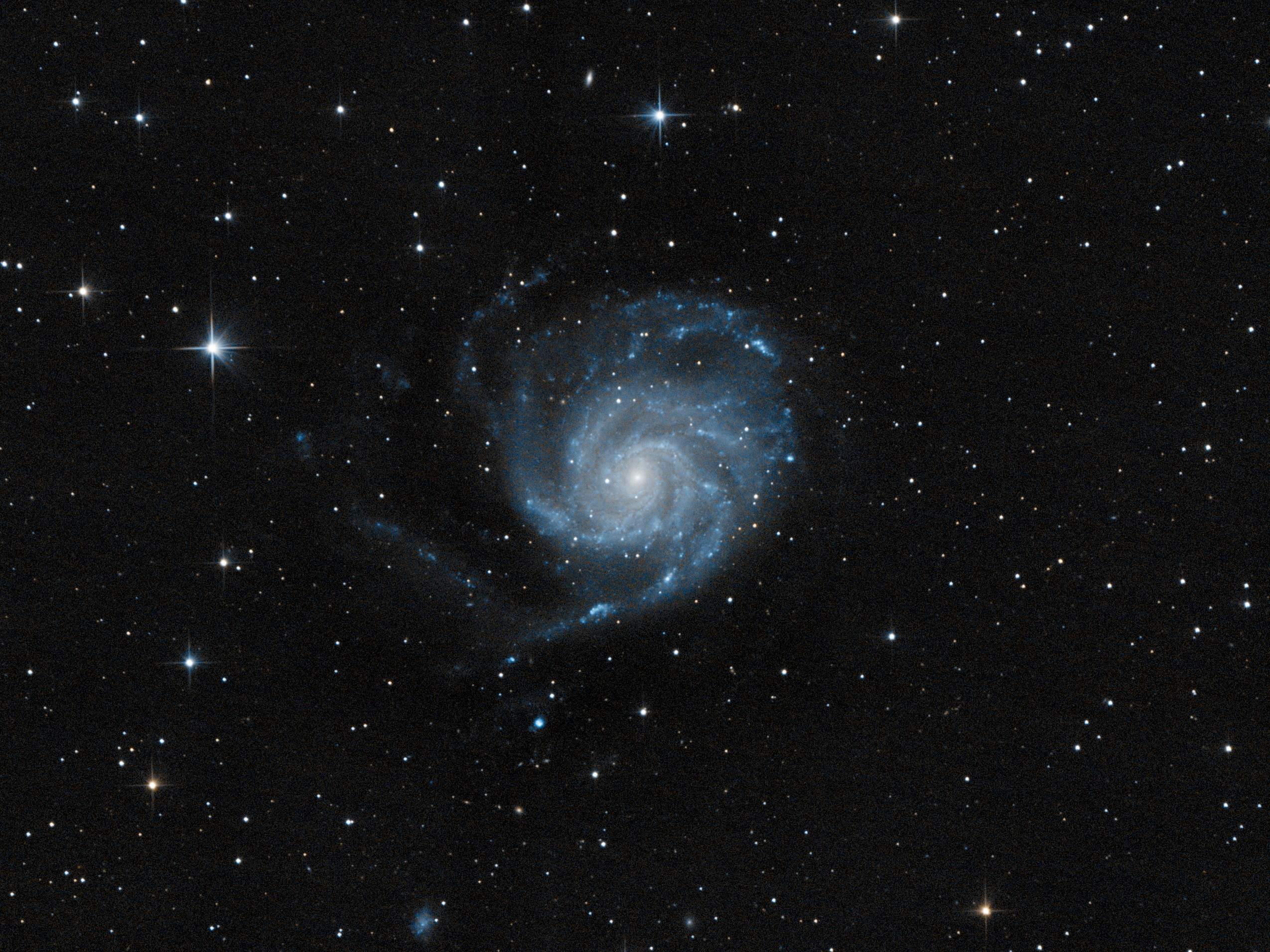 M101, a large spiral galaxy seen face on