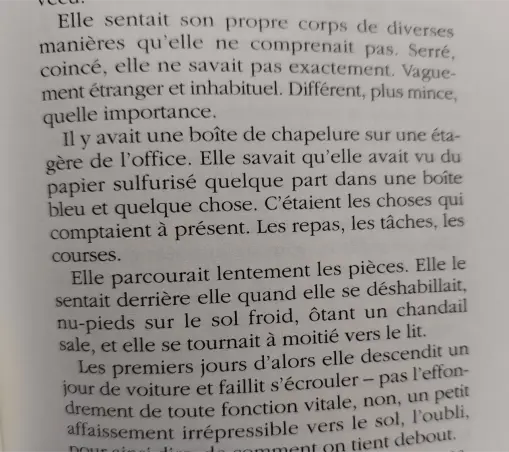 Citation "Elle sentait son propre corps de diverses manières qu'elle ne comprenait pas. Serré, coincé, elle ne savait pas exactement. vaguement étranger et inhabituel. différent, plus mince, quelle importance. 
Il y avait une boîte de chapelure sur une étagère de l'office. Elle savait qu'elle avait vu du papier sulfurisé quelque part dans une boîte bleu et quelque chose. C'étaient les choses qui comptaient à présent. Les repas, les tâches, les courses.
Elle parcourait lentement les pièces. Elle…