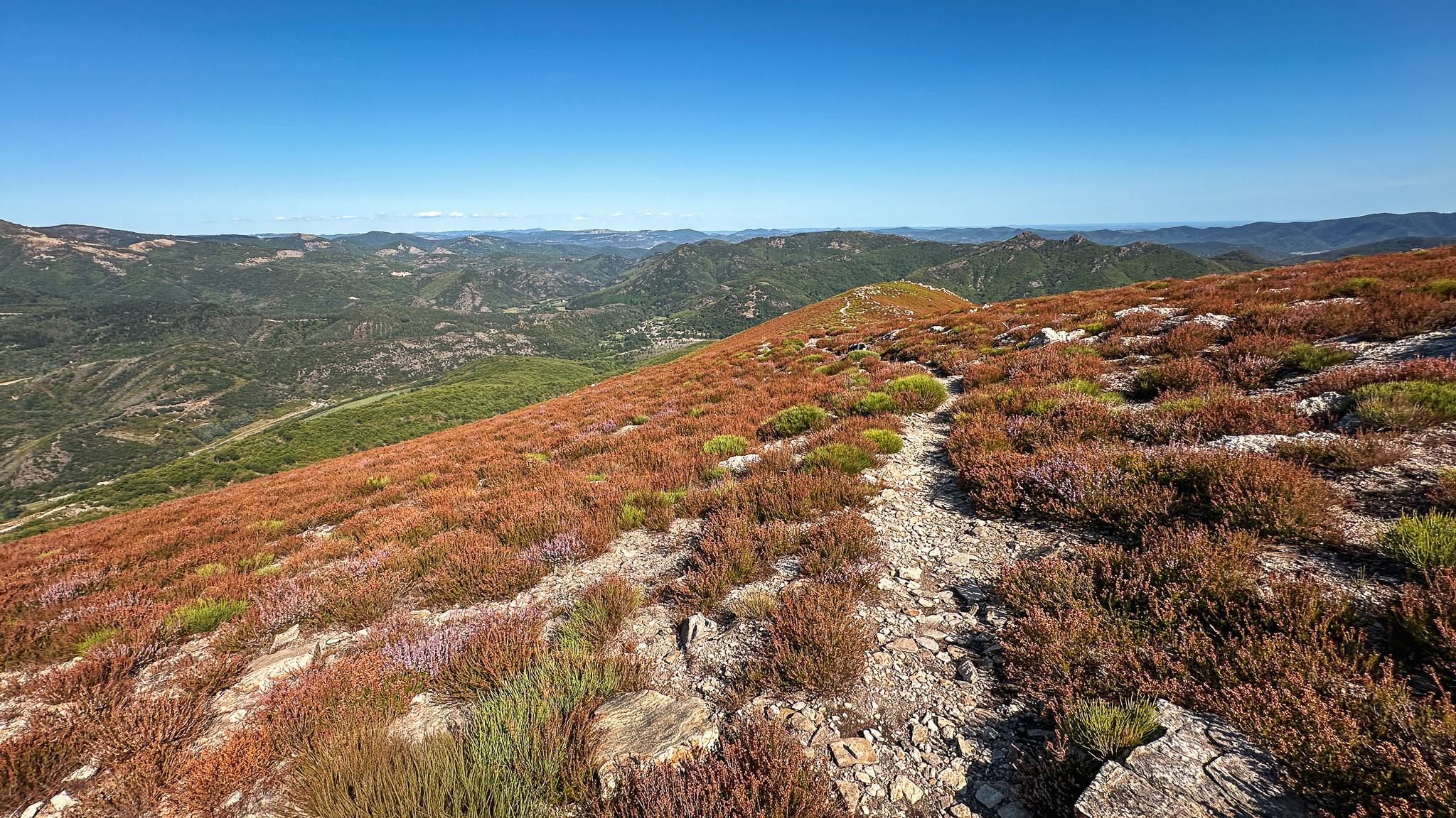 un sentier de randonnée rocailleux serpente entre les massifs de bruyère face à un panorama grandiose sur les massifs alentours