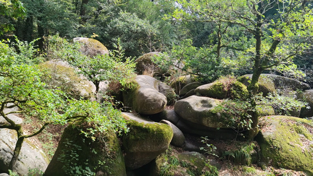 Panoramique du chaos de Huelgoat. D'immenses blocs de granite disposés pèle-mêle, couverts de mousse, au milieu de la végétation. Un musicien joue de la harpe celtique derrière moi.