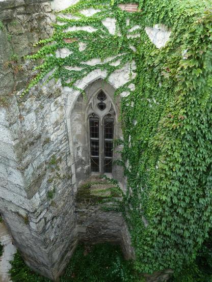 Window at the Buda castle (facing the river), with ample ivy