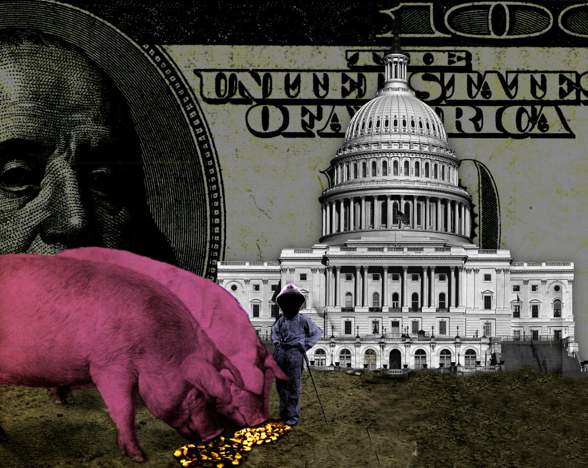 The Capitol building. In the foreground are two gigantic pigs - the size of elephants. They are being fed by a male figure whose head has been replaced with a shadowy hacker's hoodie. The background is a dark, blown up US$100 bill with Franklin's eyes gone black.