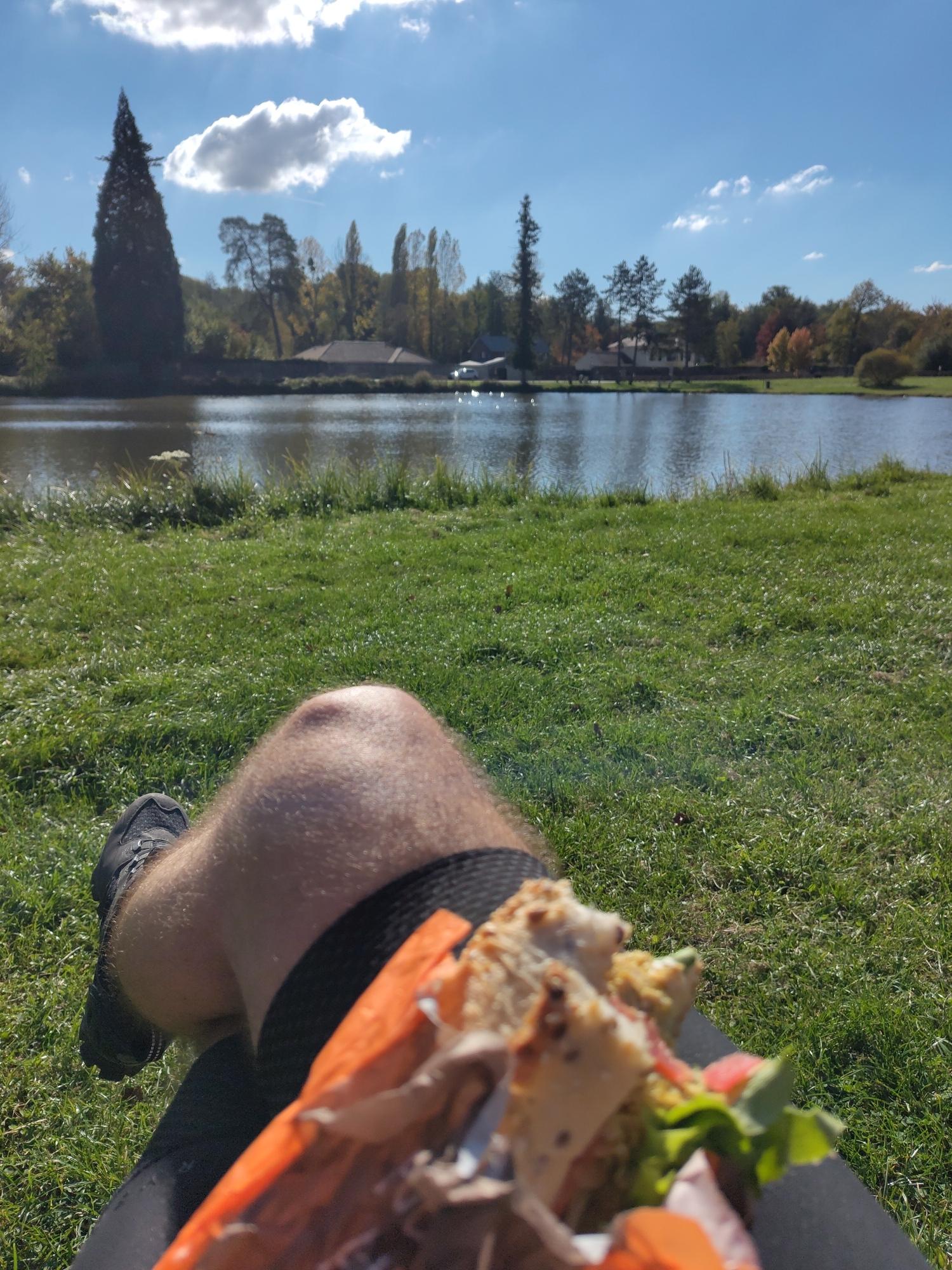 Au premier plan flou, mon sandwich entamé sur mes genoux croisés, de l'herbe, un étang, des arbres et le ciel bleu.