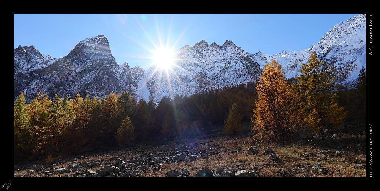 Sous des sommets blanchis dont émerge à peine le soleil, des mélèzes dorés à contre-jour