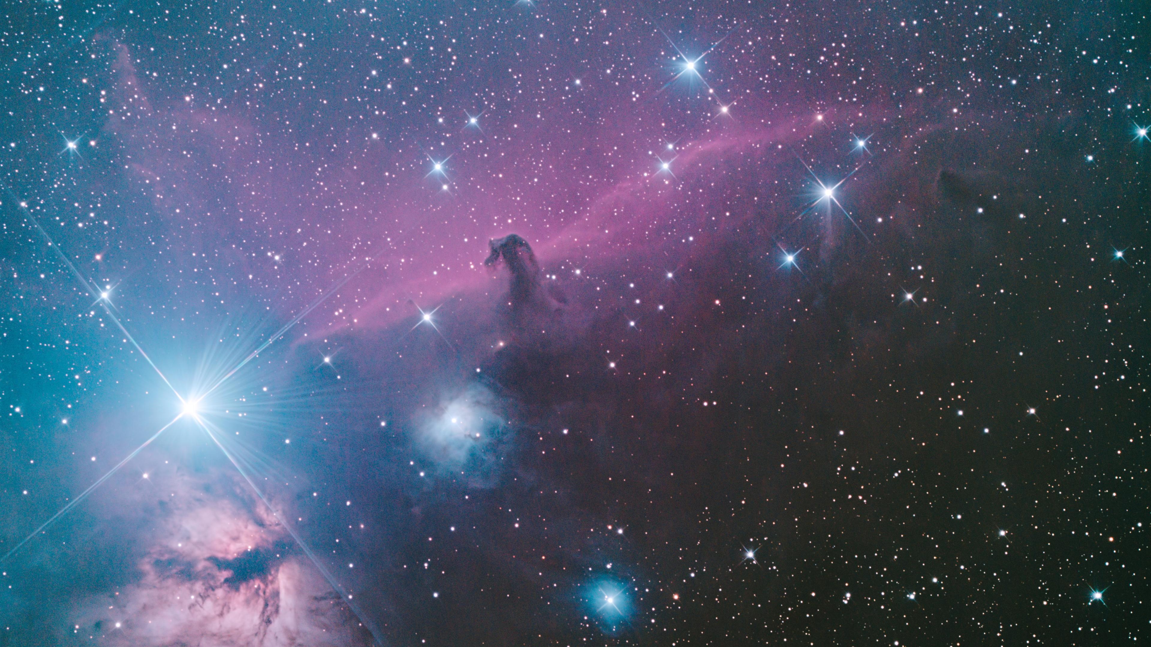The famous horse-head shaped nebula as a shadow in front of red clouds. Bright blue stars, the Flame Nebula in the bottom left