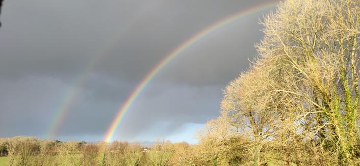 Double arc-en-ciel intense au-dessus de la haie bocagère ensoleillée et sur un fond nuageux gris sombre menaçant