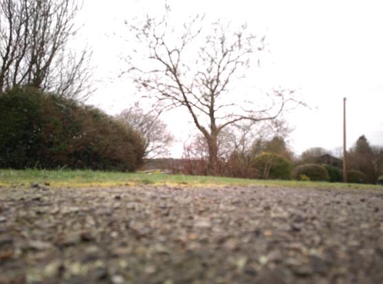 Photo de 30 secondes prise au milieu de la nuit donne un effet d'être prise en plein jour. Le smartphone est posé à même la route, on voit les gravillons. Plus loin, une bande herbeuse devant une haie. Un arbre isolé au centre de l'image. Un poteau téléphonique plus loin à droite. le ciel couvert est complètement blanc, éclairé par la lune qu'on ne voit pas.