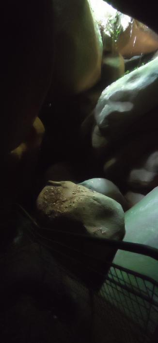 amoncellement de blocs de granite formant un gouffre sombre. site naturel touristique aménagé au cœur du chaos de Huelgoat.