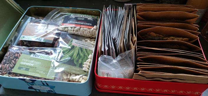 deux boîtes métalliques carrées, ouvertes, dévoilant des dizaines de sachets et d'enveloppes contenant des graines de toutes sortes.