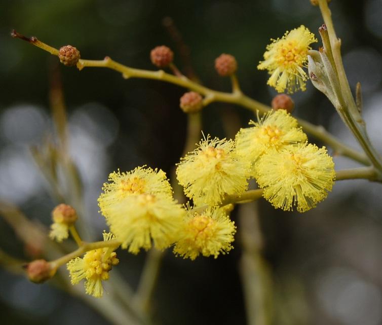 Sorry, no caption provided by author