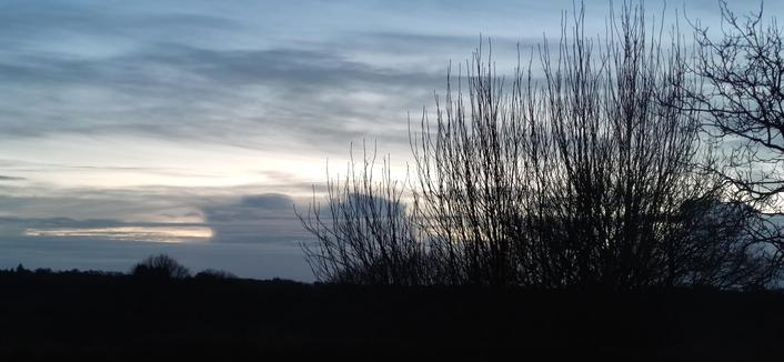 le soleil est derrière l'horizon, le soir tombe. Le ciel est encore lumineux bien que voilé et quelques cumulus sombres à l'horizon. Au premier plan, une haie dans l'obscurité avec un taillis en ombre chinoise sur la droite. Ce sont les dernières heures du week-end.