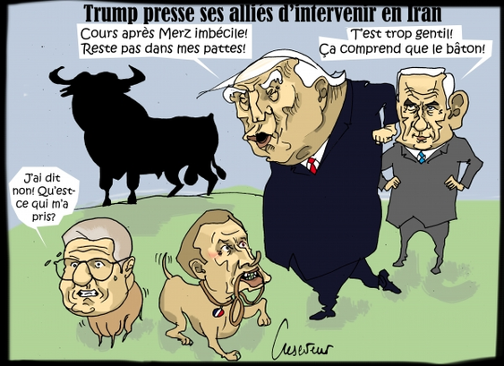 Posted media