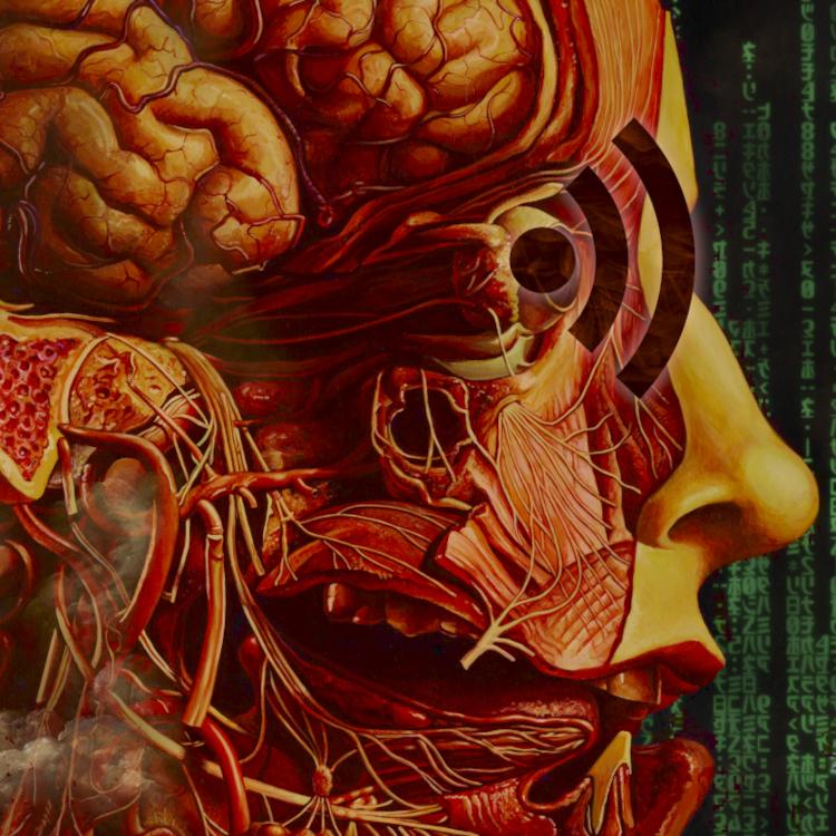 An anatomical drawing of a cross-section of a man's head. The eyeball has been replaced by an RSS logo. To the left of the face is a "code waterfall" effect as seen in the credit sequences of the Wachowskis' 'Matrix' movie. To the right are clouds of grey roiling clouds, infiltrating the brain as well.