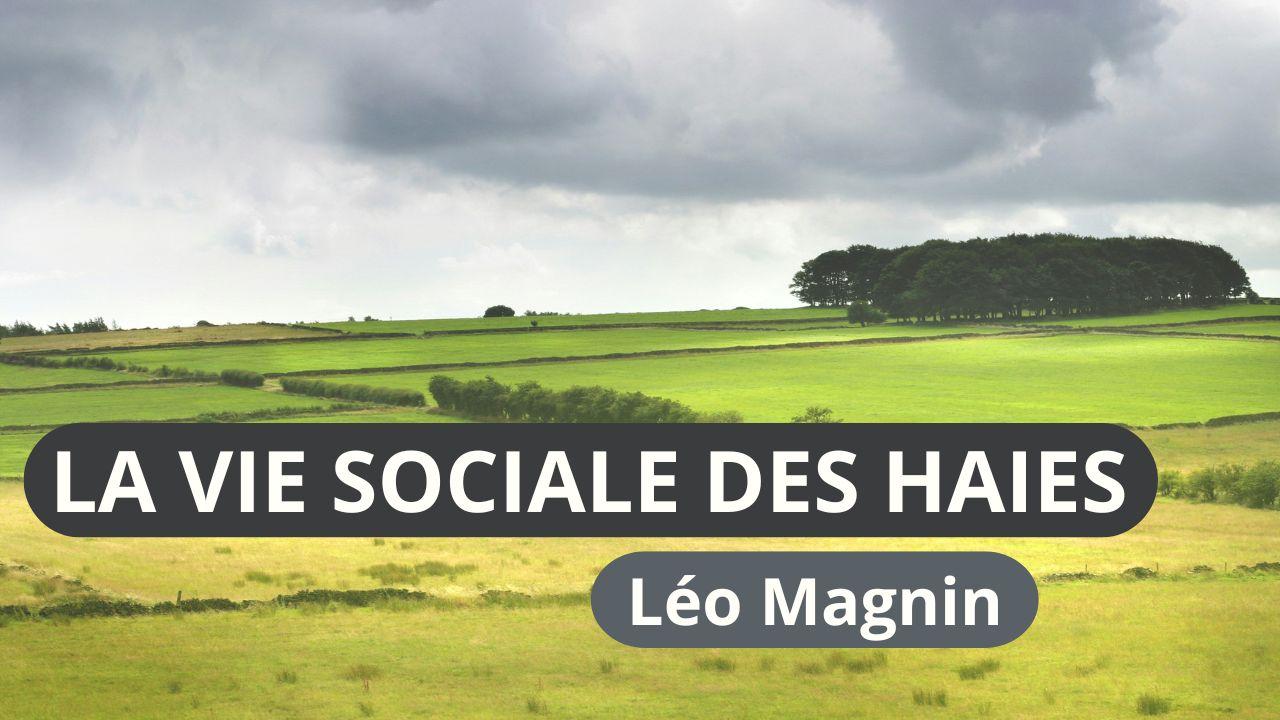 Miniature de la vidéo « La vie sociale des haies » - Léo Magnin. Le titre est affiché sur une photographie de paysage de bocages.