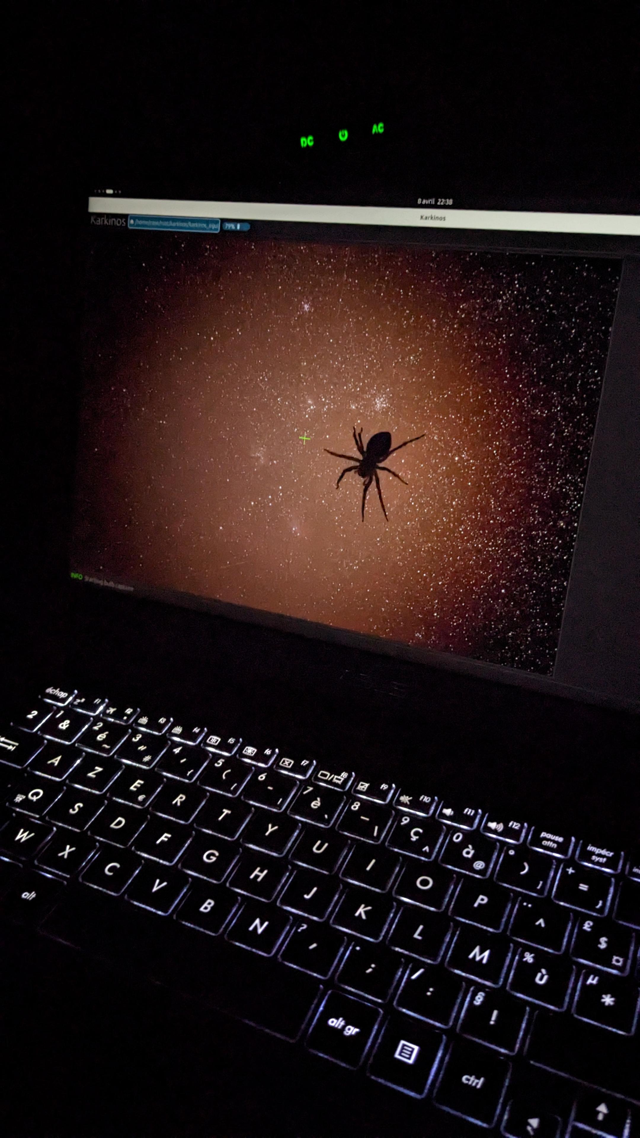 The shadow of a big spider on the screen of a laptop showing a picture of stars and nebulae