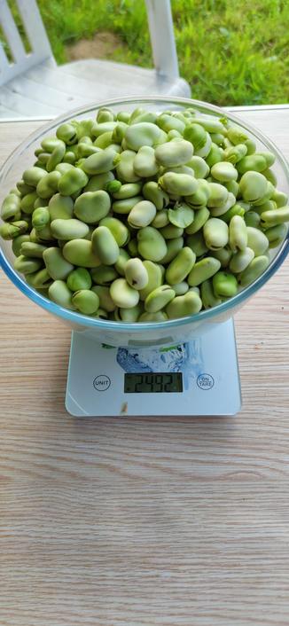 récolte de fèves dans un saladier, 2,492kg.