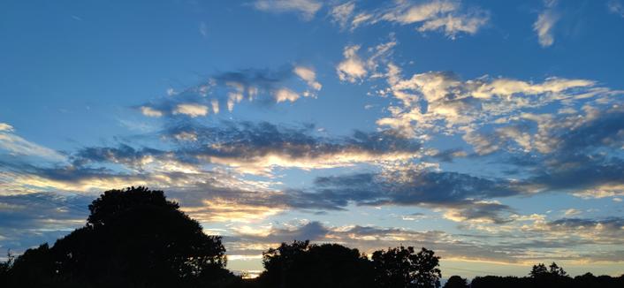 ciel de crépuscule dans un ciel bleu, quelques nuages déchirés arborent des couleurs dorées à gris sombre. en bas de l'image, la cime d'une haie bocagère se dessine en ombre chinoise