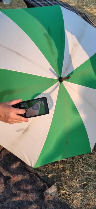 photo d'écumoire et de plein de soleils partiels sur un parapluie.
